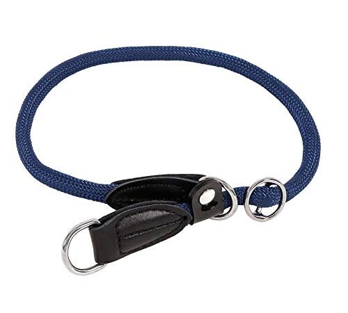 lionto Collare per Cani Collare Retriever Collare da addestramento 40 cm Ø 0,8 cm Blu