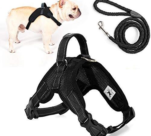 Trongle Pettorina Regolabile per Cani di Piccola Taglia con Manico Facile da Controllare, Confortevole e Traspirante in Rete d'Aria Regolabile per Cani di Piccola Taglia con guinzaglio in Nylon(S)