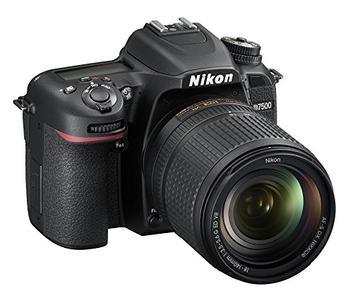 Miglior nikon d3500 nel 2022 [basato su 50 recensioni di esperti]