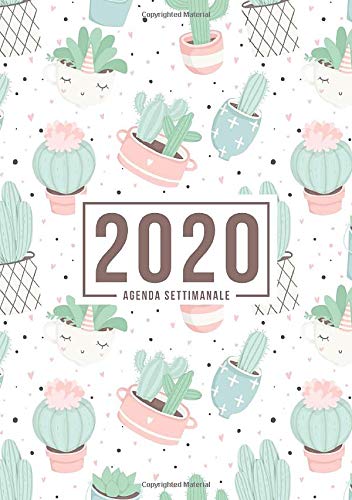 Miglior agenda settimanale 2020 nel 2024 [basato su 50 recensioni di esperti]