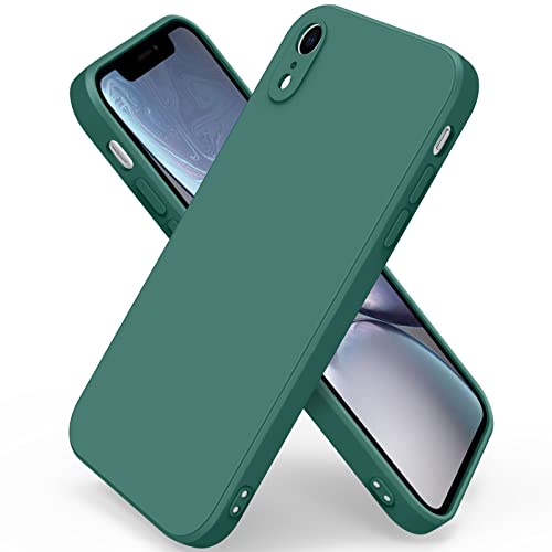 Miglior cover iphone xr nel 2024 [basato su 50 recensioni di esperti]