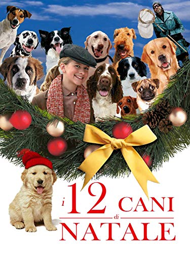 Miglior cani nel 2024 [basato su 50 recensioni di esperti]