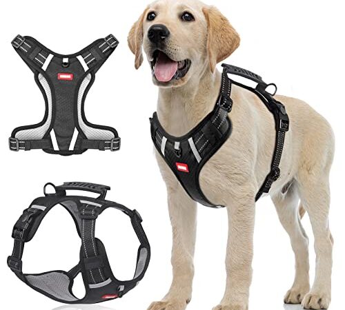 Pettorina Cane,No-Pull Dog Harness Pettorina ad h Cane,Regolabile Pettorina Cane Taglia Piccola, Guinzaglio per Cani Taglia Piccola