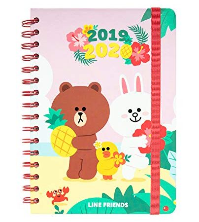 Erik ASVA51911 Diario Scuola con Planner Settimanale 2019/2020 Line Friends