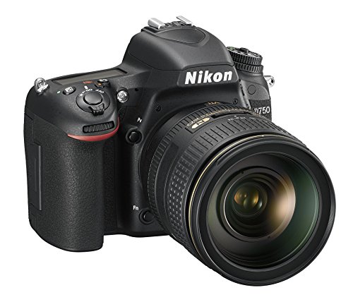 30 Miglior nikon d3500 nel 2024 [basato su 50 recensioni di esperti]